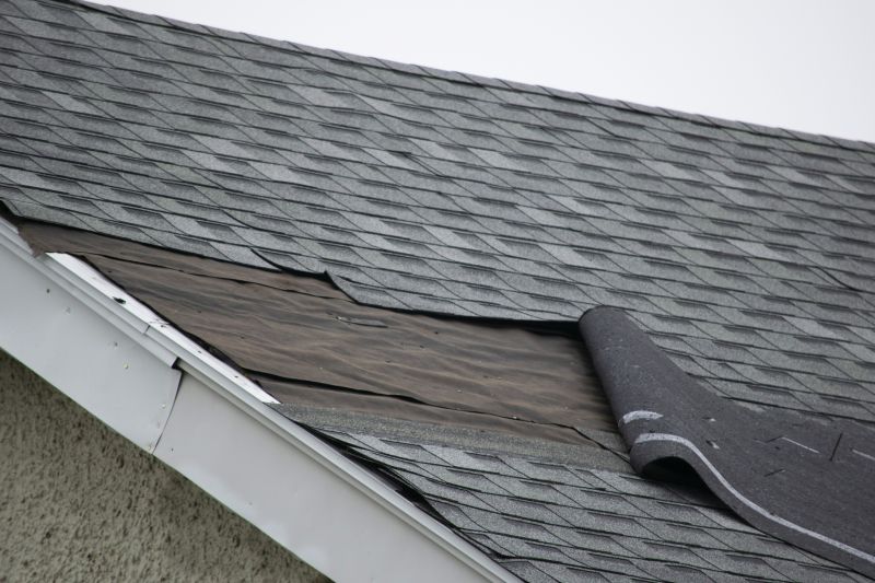 Asphalt Shingle Roof Repair Image 3