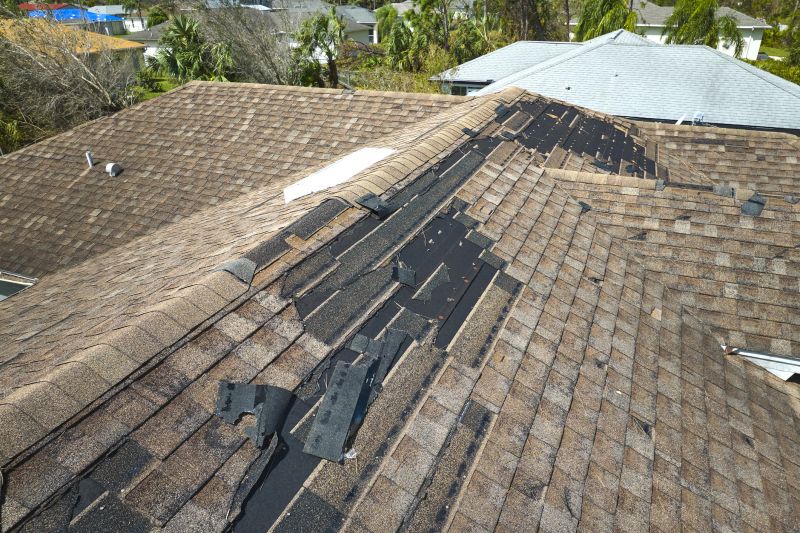 Expert Asphalt Shingle Repair 3