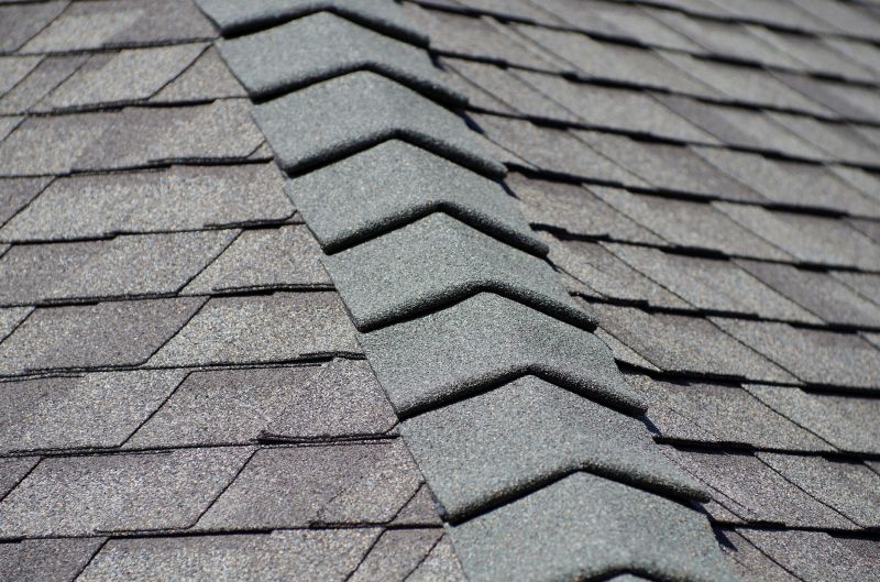 Professional Asphalt Shingle Repair 4